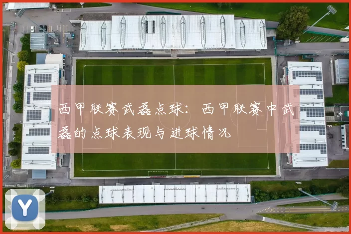 西甲联赛武磊点球：西甲联赛中武磊的点球表现与进球情况
