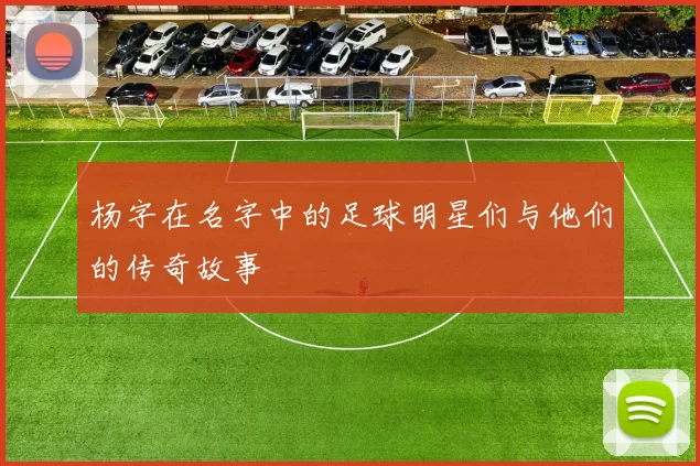 杨字在名字中的足球明星们与他们的传奇故事