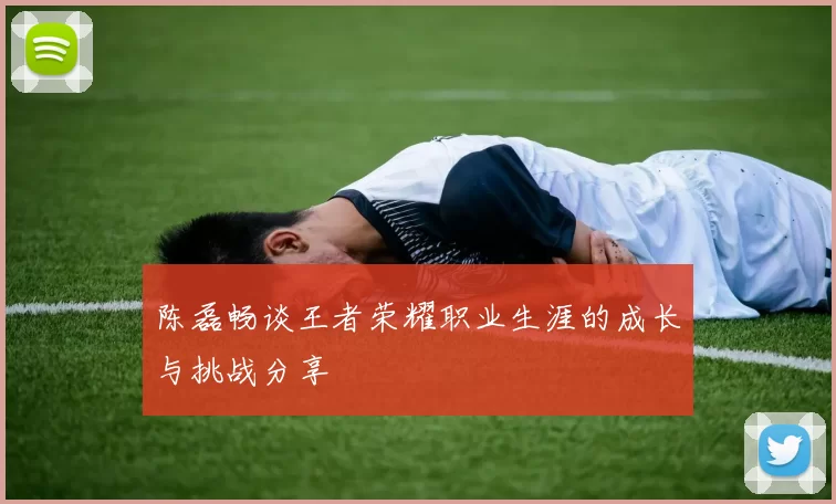 陈磊畅谈王者荣耀职业生涯的成长与挑战分享