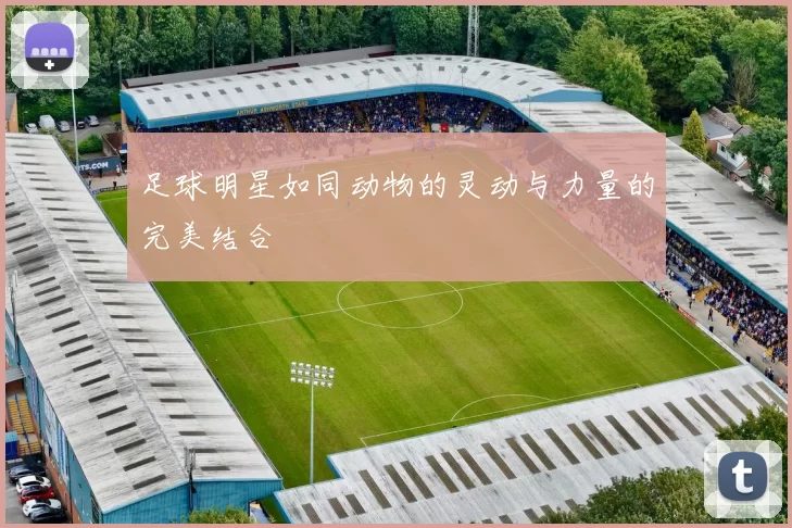 足球明星如同动物的灵动与力量的完美结合