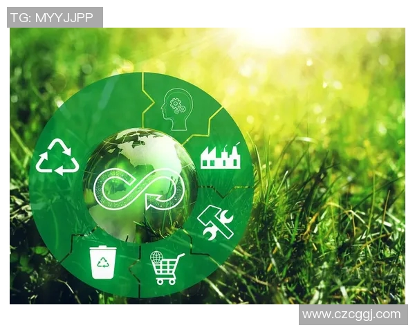 以环境质量为核心推动可持续发展策略的探索与实践