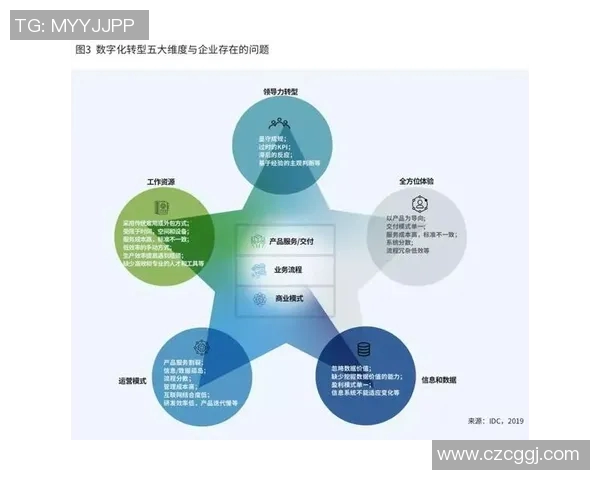 深圳滑板队的转型之路：得失与挑战的深度剖析